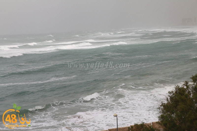 yaffa weahtera (6).jpg